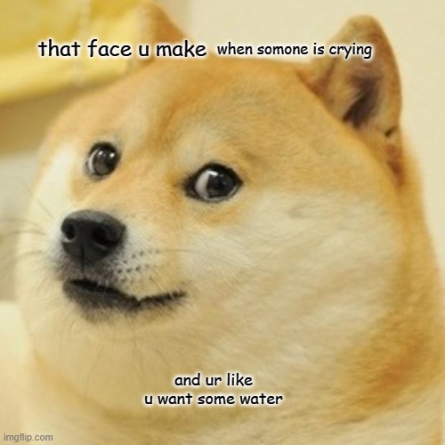 Doge Meme | that face u make; when somone is crying; and ur like u want some water | image tagged in memes,doge | made w/ Imgflip meme maker