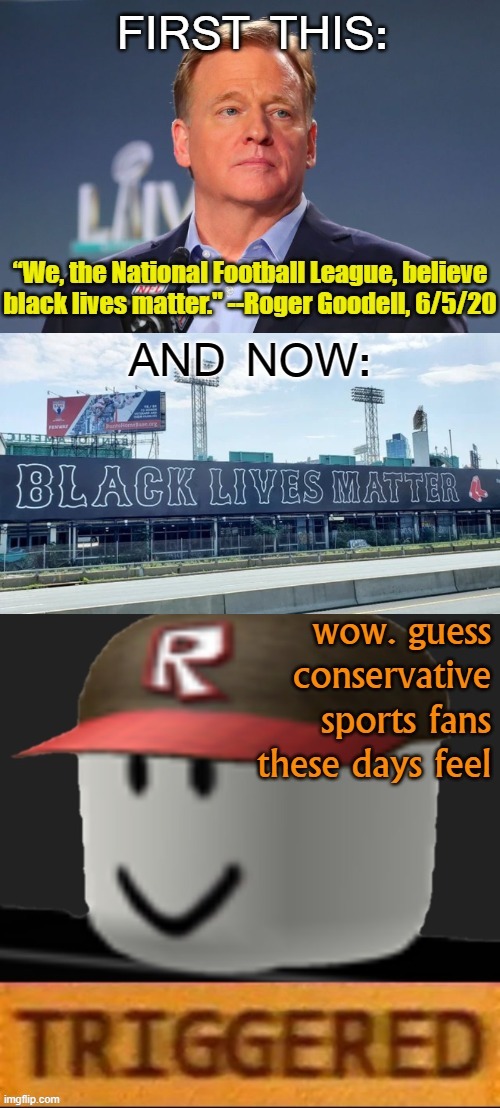 With all these cherished American institutions backing BLM, where's a racist to turn these days for comfort? Oh yeah: ImgFlip | image tagged in triggered,black lives matter,blm,blacklivesmatter,sports fans,conservatives | made w/ Imgflip meme maker