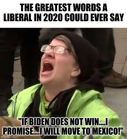 Maybe if this happens, we can de-insane the country |  THE GREATEST WORDS A LIBERAL IN 2020 COULD EVER SAY; "IF BIDEN DOES NOT WIN....I PROMISE....I WILL MOVE TO MEXICO!" | image tagged in crying liberal,mexico | made w/ Imgflip meme maker