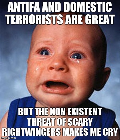 Crying baby  | ANTIFA AND DOMESTIC TERRORISTS ARE GREAT BUT THE NON EXISTENT THREAT OF SCARY RIGHTWINGERS MAKES ME CRY | image tagged in crying baby | made w/ Imgflip meme maker