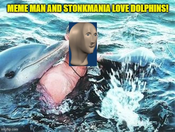 Putin Dolphins | MEME MAN AND STONKMANIA LOVE DOLPHINS! | image tagged in putin dolphins | made w/ Imgflip meme maker