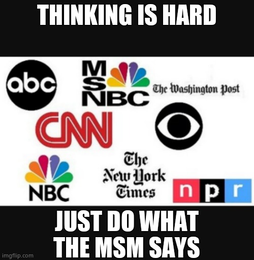 Media lies | THINKING IS HARD JUST DO WHAT THE MSM SAYS | image tagged in media lies | made w/ Imgflip meme maker
