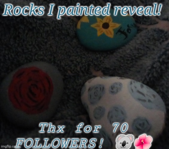 Thx!! | Rocks I painted reveal! Thx for 70 FOLLOWERS! 🐨🌺 | made w/ Imgflip meme maker
