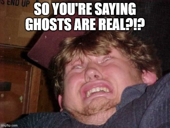 WTF Meme | SO YOU'RE SAYING GHOSTS ARE REAL?!? | image tagged in memes,wtf | made w/ Imgflip meme maker