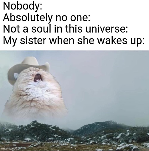 like bruh |  Nobody:
Absolutely no one:
Not a soul in this universe:
My sister when she wakes up: | image tagged in screaming cowboy cat | made w/ Imgflip meme maker