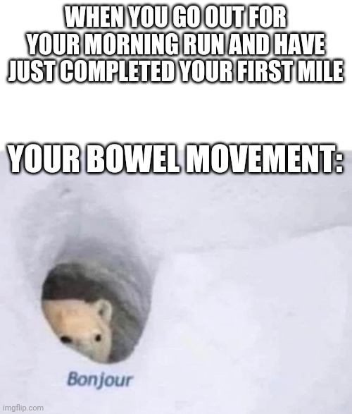 Bonjour | WHEN YOU GO OUT FOR YOUR MORNING RUN AND HAVE JUST COMPLETED YOUR FIRST MILE; YOUR BOWEL MOVEMENT: | image tagged in bonjour | made w/ Imgflip meme maker