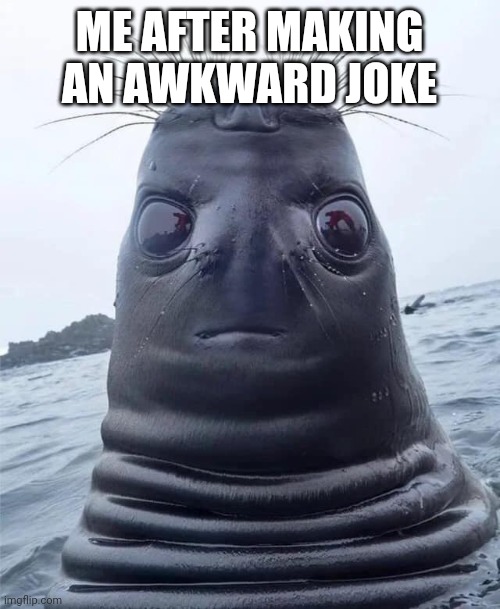 Awkward Seal 2 | ME AFTER MAKING AN AWKWARD JOKE | image tagged in akward moment seal,awkward seal | made w/ Imgflip meme maker
