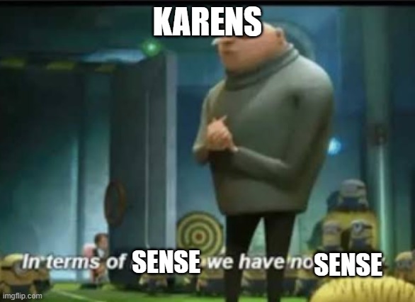 In terms of money | KARENS; SENSE; SENSE | image tagged in in terms of money | made w/ Imgflip meme maker