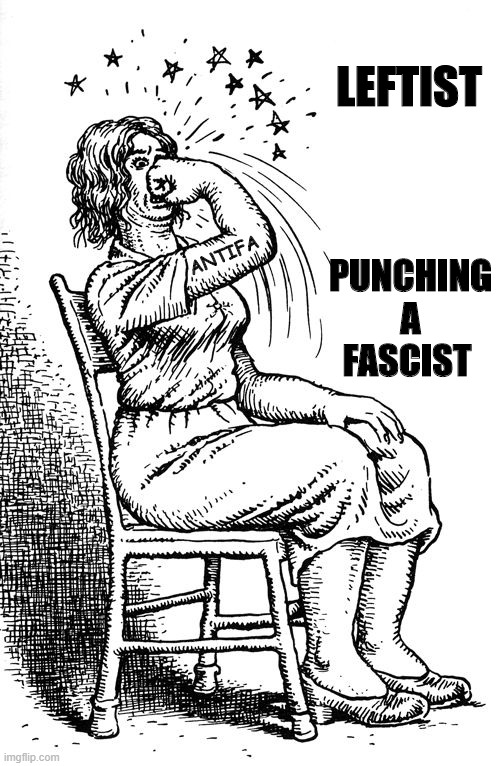 woman-punching-self | LEFTIST; PUNCHING A FASCIST; ANTIFA | image tagged in woman-punching-self,antifa,politics,political meme | made w/ Imgflip meme maker
