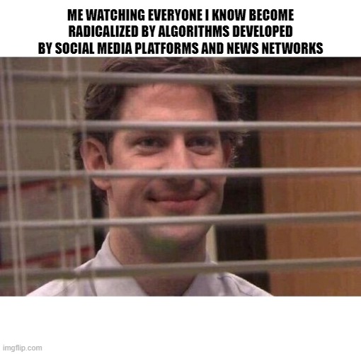Jim Office Blinds |  ME WATCHING EVERYONE I KNOW BECOME RADICALIZED BY ALGORITHMS DEVELOPED BY SOCIAL MEDIA PLATFORMS AND NEWS NETWORKS | image tagged in jim office blinds | made w/ Imgflip meme maker