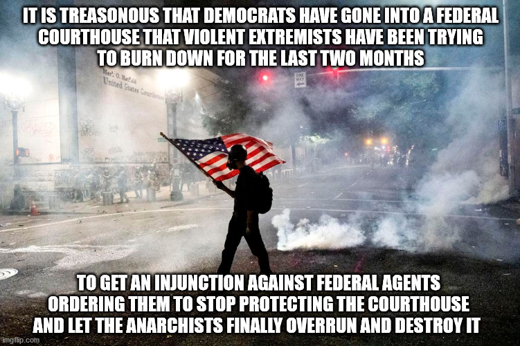 It is painfully obvious | IT IS TREASONOUS THAT DEMOCRATS HAVE GONE INTO A FEDERAL
COURTHOUSE THAT VIOLENT EXTREMISTS HAVE BEEN TRYING
TO BURN DOWN FOR THE LAST TWO MONTHS; TO GET AN INJUNCTION AGAINST FEDERAL AGENTS
ORDERING THEM TO STOP PROTECTING THE COURTHOUSE
AND LET THE ANARCHISTS FINALLY OVERRUN AND DESTROY IT | image tagged in anarchists | made w/ Imgflip meme maker
