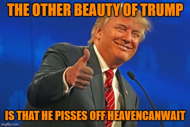 Trump winning smarmy grinning | THE OTHER BEAUTY OF TRUMP IS THAT HE PISSES OFF HEAVENCANWAIT | image tagged in trump winning smarmy grinning | made w/ Imgflip meme maker