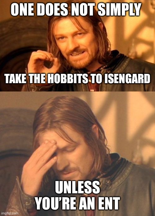 Or an orc. | ONE DOES NOT SIMPLY; TAKE THE HOBBITS TO ISENGARD; UNLESS YOU’RE AN ENT | image tagged in memes,one does not simply,frustrated boromir | made w/ Imgflip meme maker