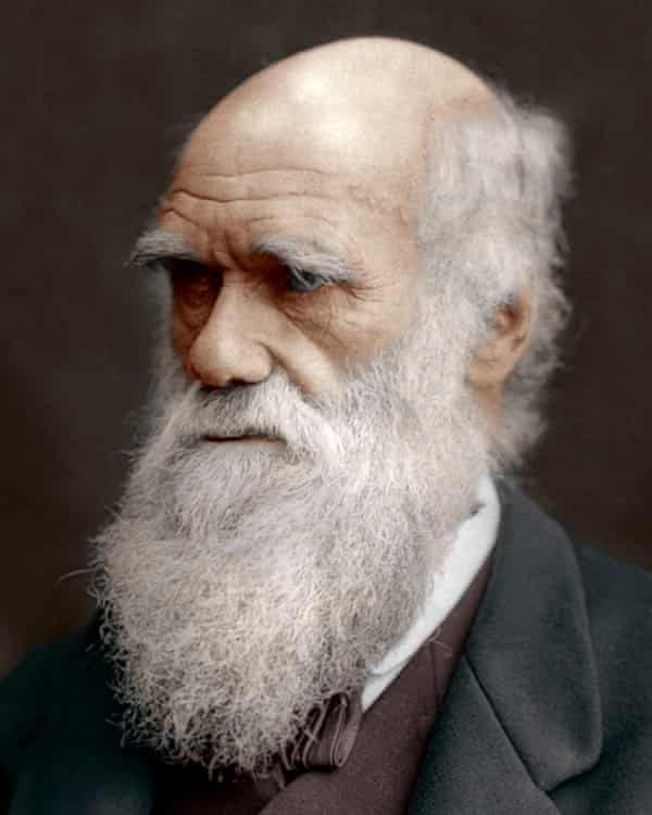 Darwin Blank Meme Template