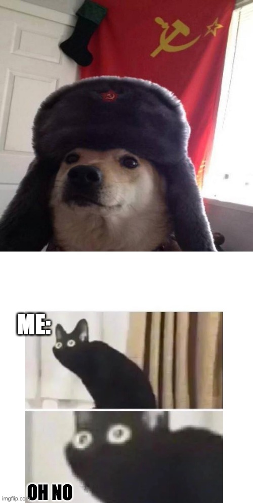 No one told me he was communist | ME:; OH NO | image tagged in russian doge | made w/ Imgflip meme maker