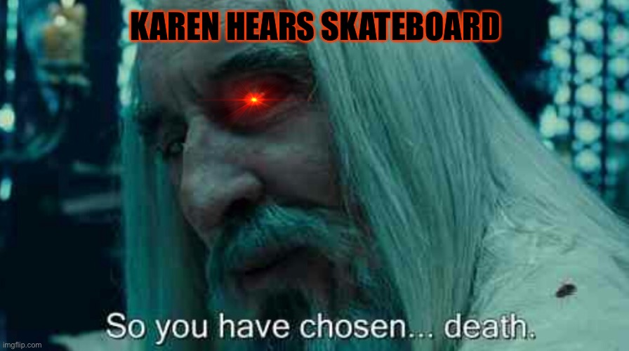 So you have chosen death | KAREN HEARS SKATEBOARD | image tagged in so you have chosen death | made w/ Imgflip meme maker