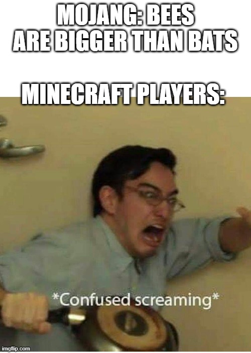 Where's the logic? | MOJANG: BEES ARE BIGGER THAN BATS; MINECRAFT PLAYERS: | image tagged in confused screaming,minecraft | made w/ Imgflip meme maker