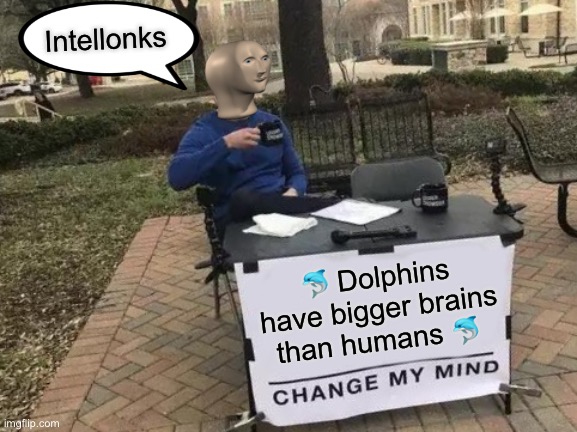 Change My Mind | Intellonks; 🐬 Dolphins have bigger brains than humans 🐬 | image tagged in memes,change my mind,stonks,funny | made w/ Imgflip meme maker