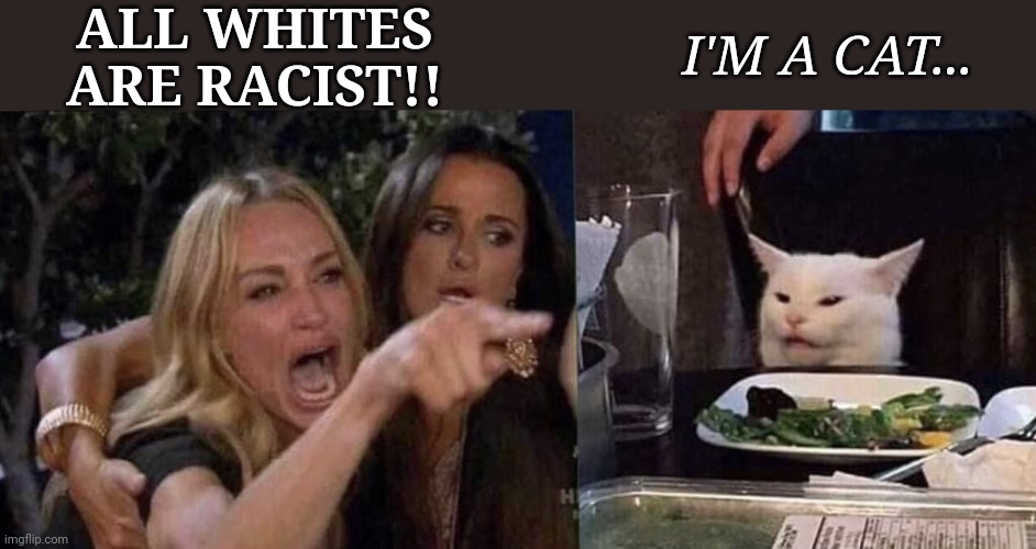 woman yelling at cat | ALL WHITES ARE RACIST!! I'M A CAT... | image tagged in woman yelling at cat | made w/ Imgflip meme maker