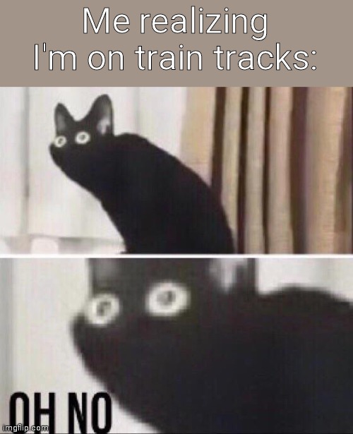 Oh no cat | Me realizing I'm on train tracks: | image tagged in oh no cat | made w/ Imgflip meme maker