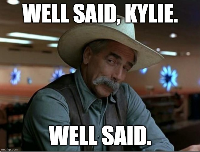 When you pat yourself on the back. | WELL SAID, KYLIE. WELL SAID. | image tagged in sarcasm cowboy redo,fake news,sarcasm cowboy,cult,memes about memes,memes about memeing | made w/ Imgflip meme maker