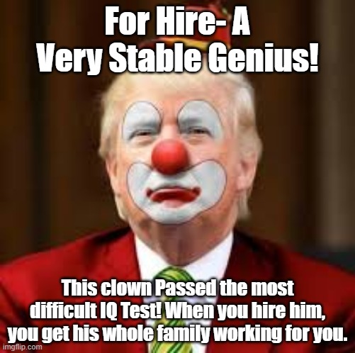 donald trump | For Hire- A Very Stable Genius! This clown Passed the most difficult IQ Test! When you hire him, you get his whole family working for you. | image tagged in donald trump,donald trump the clown,trump stable genius | made w/ Imgflip meme maker