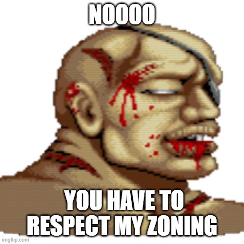 Vega matchup | NOOOO; YOU HAVE TO RESPECT MY ZONING | image tagged in street fighter | made w/ Imgflip meme maker