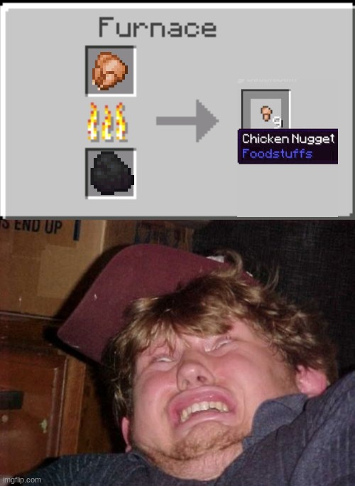 cooked chicken makes chicken nuggets | image tagged in memes,wtf,minecraft furnace | made w/ Imgflip meme maker