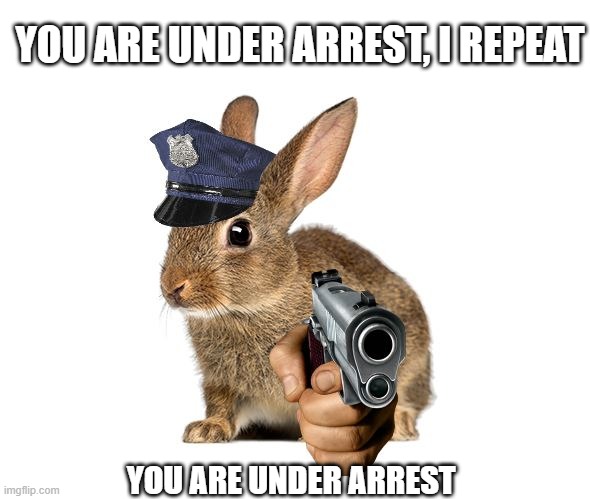 The Sequel To The Anti-Horny Rat. | YOU ARE UNDER ARREST, I REPEAT; YOU ARE UNDER ARREST | image tagged in rabbit | made w/ Imgflip meme maker