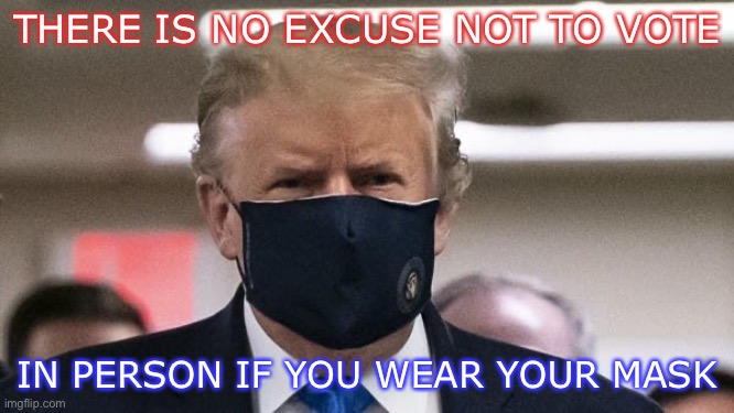Mask | THERE IS NO EXCUSE NOT TO VOTE; IN PERSON IF YOU WEAR YOUR MASK | image tagged in face mask,mask | made w/ Imgflip meme maker