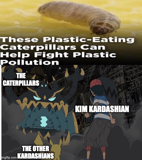 Kanye married a toy, big mistake | THE CATERPILLARS; KIM KARDASHIAN; THE OTHER KARDASHIANS | image tagged in blank white template,fun | made w/ Imgflip meme maker