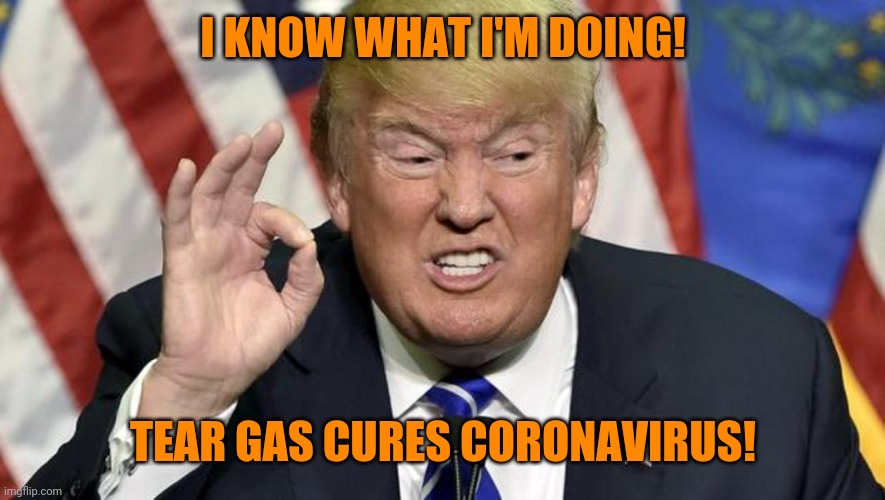 trump the best | I KNOW WHAT I'M DOING! TEAR GAS CURES CORONAVIRUS! | image tagged in death knocking at the door,bad choices,you are not a clown you are the entire circus | made w/ Imgflip meme maker