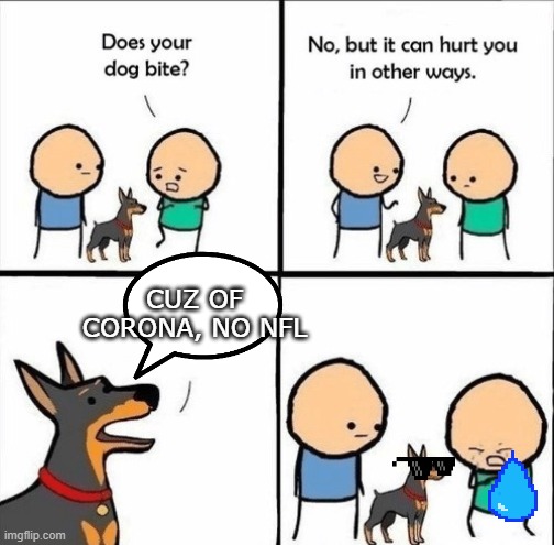 does your dog bite |  CUZ OF CORONA, NO NFL | image tagged in does your dog bite | made w/ Imgflip meme maker
