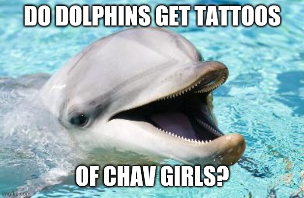 Dumb Joke Dolphin | DO DOLPHINS GET TATTOOS; OF CHAV GIRLS? | image tagged in dumb joke dolphin,memes | made w/ Imgflip meme maker