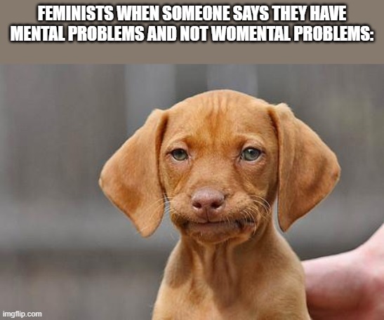 Dissapointed puppy | FEMINISTS WHEN SOMEONE SAYS THEY HAVE MENTAL PROBLEMS AND NOT WOMENTAL PROBLEMS: | image tagged in dissapointed puppy,memes,feminism | made w/ Imgflip meme maker