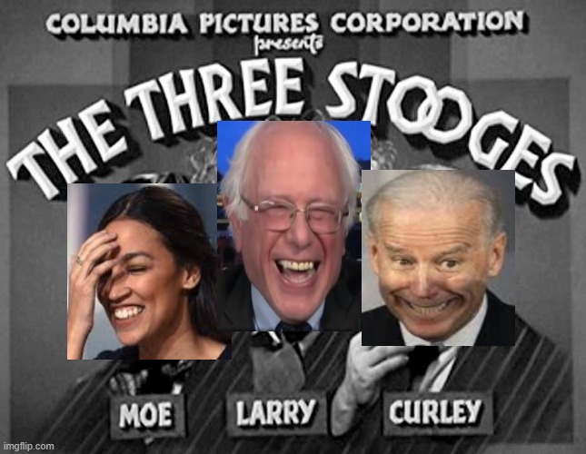 My Apologies to the Three Stooges! | image tagged in stupid liberals | made w/ Imgflip meme maker