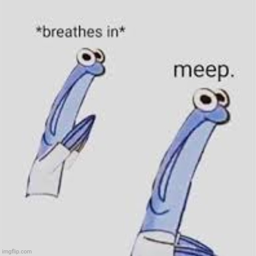 *inhales* meep | image tagged in inhales meep | made w/ Imgflip meme maker