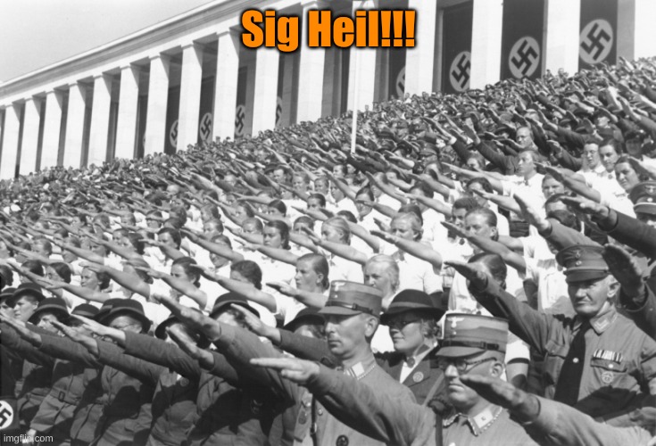 nazis salute lots | Sig Heil!!! | image tagged in nazis salute lots | made w/ Imgflip meme maker