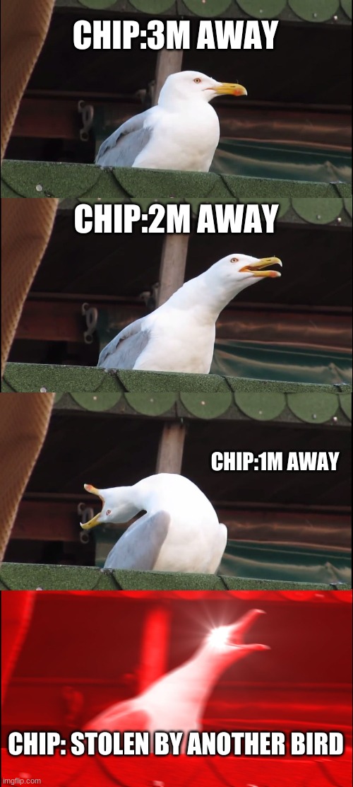 Inhaling Seagull Meme | CHIP:3M AWAY; CHIP:2M AWAY; CHIP:1M AWAY; CHIP: STOLEN BY ANOTHER BIRD | image tagged in memes,inhaling seagull | made w/ Imgflip meme maker