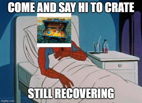 Spiderman Hospital | COME AND SAY HI TO CRATE; STILL RECOVERING | image tagged in memes,spiderman hospital,spiderman | made w/ Imgflip meme maker