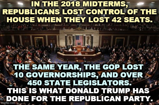 Good Ole' Trump | IN THE 2018 MIDTERMS, REPUBLICANS LOST CONTROL OF THE HOUSE WHEN THEY LOST 42 SEATS. THE SAME YEAR, THE GOP LOST 
10 GOVERNORSHIPS, AND OVER 
450 STATE LEGISLATORS. THIS IS WHAT DONALD TRUMP HAS 
DONE FOR THE REPUBLICAN PARTY. | image tagged in congress,governor,trump,loser,losers | made w/ Imgflip meme maker