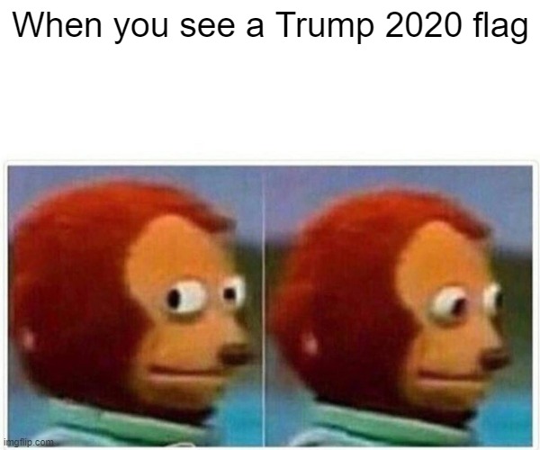 Look the other way! | When you see a Trump 2020 flag | image tagged in memes,monkey puppet,donald trump,election 2020 | made w/ Imgflip meme maker