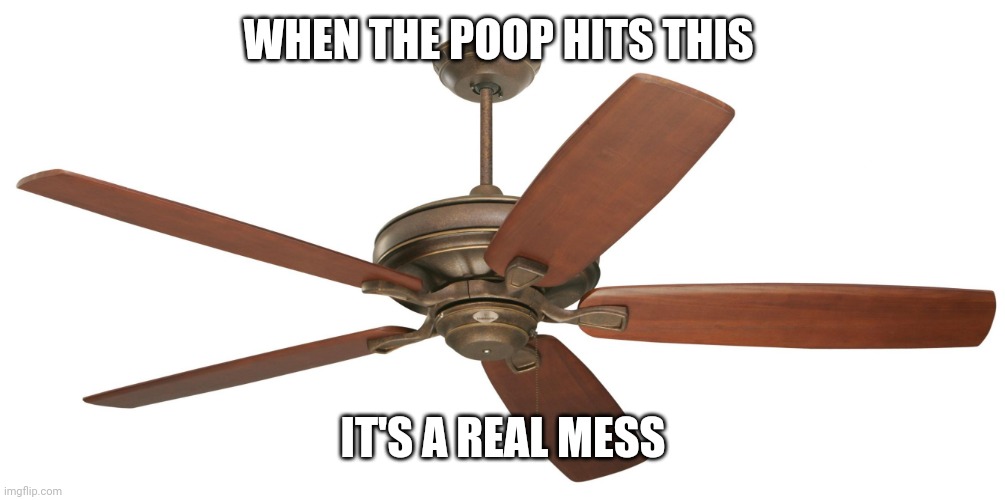 Ceiling fan | WHEN THE POOP HITS THIS; IT'S A REAL MESS | image tagged in ceiling fan | made w/ Imgflip meme maker