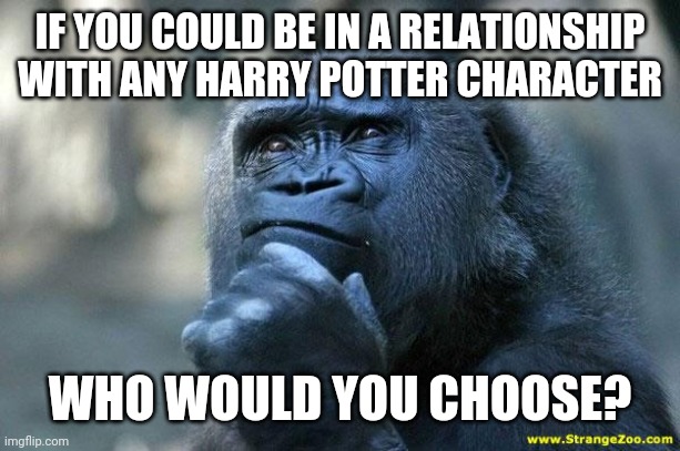 Deep Thoughts | IF YOU COULD BE IN A RELATIONSHIP WITH ANY HARRY POTTER CHARACTER; WHO WOULD YOU CHOOSE? | image tagged in deep thoughts | made w/ Imgflip meme maker