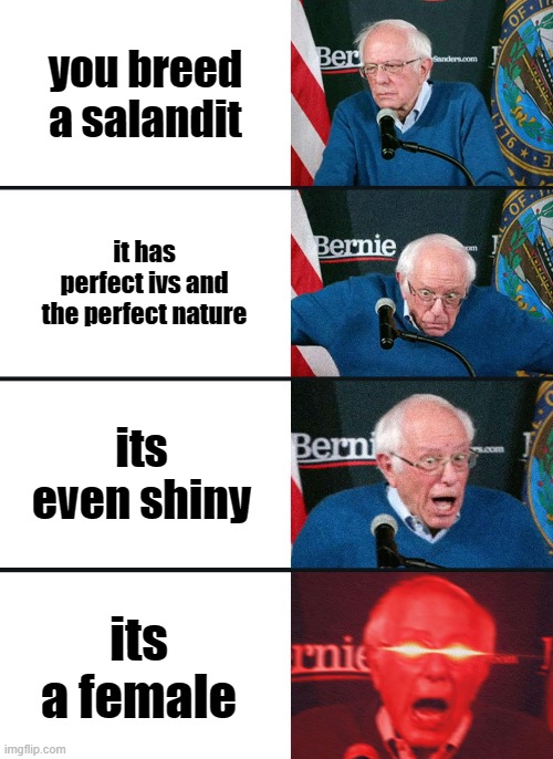 Bernie Sanders reaction (nuked) | you breed a salandit; it has perfect ivs and the perfect nature; its even shiny; its a female | image tagged in bernie sanders reaction nuked | made w/ Imgflip meme maker
