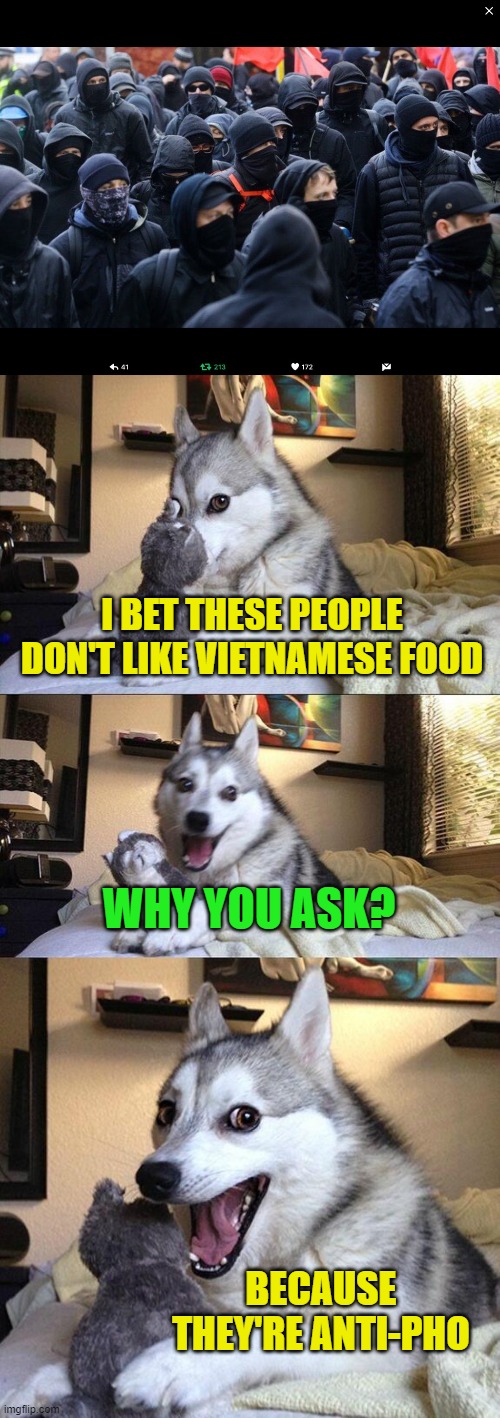 Political humor...hyuck hyuck hyuck! | I BET THESE PEOPLE DON'T LIKE VIETNAMESE FOOD; WHY YOU ASK? BECAUSE THEY'RE ANTI-PHO | image tagged in memes,bad pun dog,antifa,pho | made w/ Imgflip meme maker