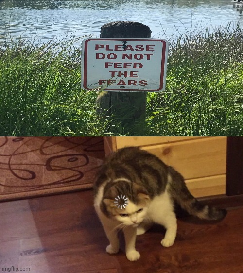 Wait what: The sign outside showing Please do not feed the fears | image tagged in buffering cat,memes,meme,signs,sign,dank memes | made w/ Imgflip meme maker