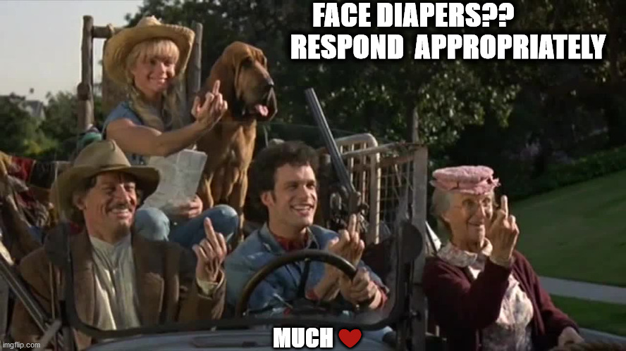 mask | FACE DIAPERS??
                                                   RESPOND  APPROPRIATELY; MUCH ❤️ | image tagged in face mask | made w/ Imgflip meme maker
