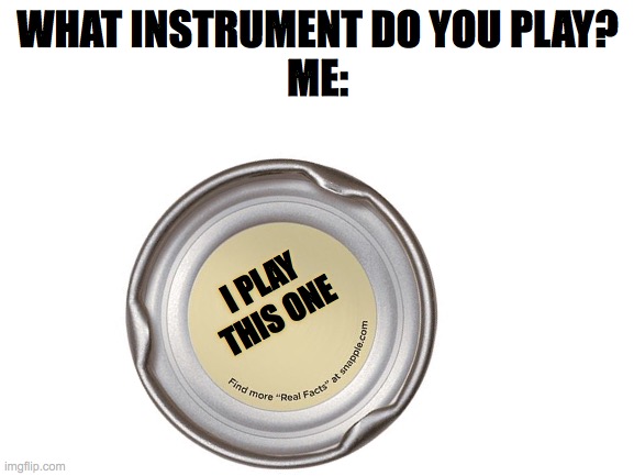 Blank White Template | WHAT INSTRUMENT DO YOU PLAY?
ME:; I PLAY THIS ONE | image tagged in blank white template | made w/ Imgflip meme maker