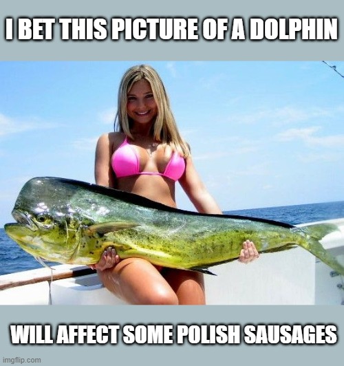 I don't always make NSFW memes, but when I do, it's for Dankinator's quests. And yes it is too a dolphin. | I BET THIS PICTURE OF A DOLPHIN; WILL AFFECT SOME POLISH SAUSAGES | image tagged in mahi mahi,quest,dolphins,sausages | made w/ Imgflip meme maker